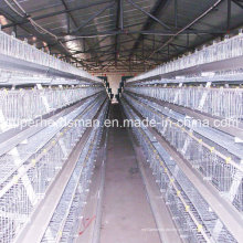 Sistema de gaiola de galinha de capoeira fazenda equipamentos